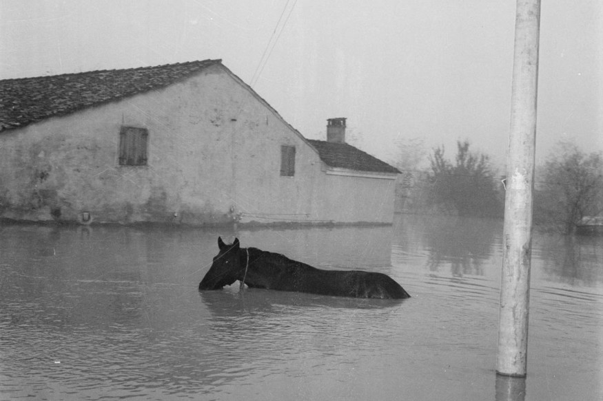 70 anni dopo. La Grande Alluvione la mostra prorogata